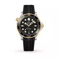 Omega Seamaster Men Automatic Black Rubber Watch O21022422001001 - view 1
