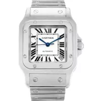 Cartier Santos 100 W20091X7 - view 6