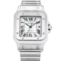 Cartier Santos Demoiselle W25064Z5 - view 5