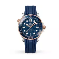 Omega Seamaster Men Automatic Blue Rubber Watch O21022422003002 - view 1