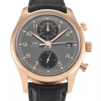 IWC Portuguese Automatic IW500114 - view 6