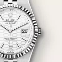 Rolex Land-Dweller 36 White Gold - view 4