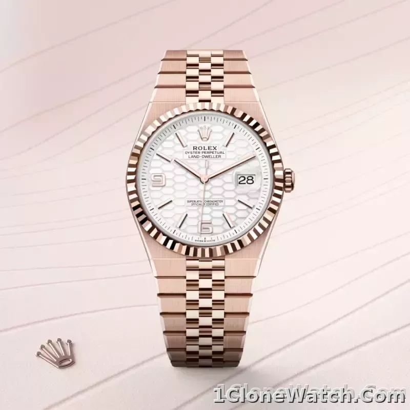 Rolex Land-Dweller 36 Intense White - detail
