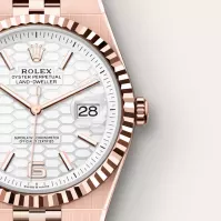 Rolex Land-Dweller 36 Intense White - view 4