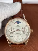 IWC Portuguese Perpetual Calendar IW503302 - view 1