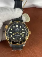 Omega Seamaster 210.22.42.20.01.001 - view 1