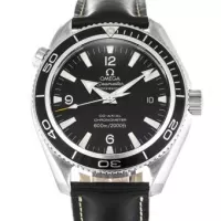 Omega Planet Ocean 2218.50.00 - view 6