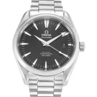 Omega Aqua Terra 150m Gents 231.10.39.21.01.001 - view 7