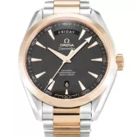 Omega Aqua Terra 150m Gents 231.10.39.22.02.001 - view 6