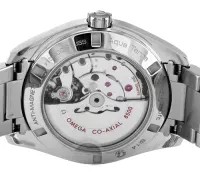 Omega Aqua Terra 150m Gents 231.10.42.21.01.004 - view 5