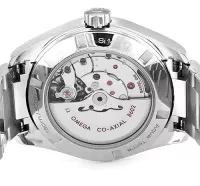 Omega Aqua Terra 150m Gents 231.10.42.22.01.001 - view 5