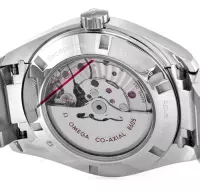 Omega Aqua Terra 150m Gents 231.10.43.22.01.001 - view 5