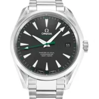 Omega Aqua Terra 150m Gents 231.10.43.22.01.001 - view 7